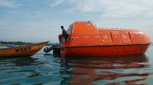Disposable lifeboat